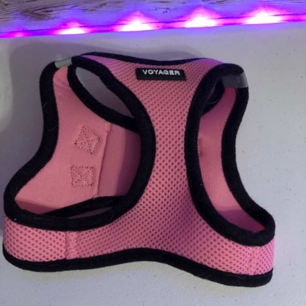 Best Pet Supplies Voyager Black Trim Mesh Dog Harness Pink
